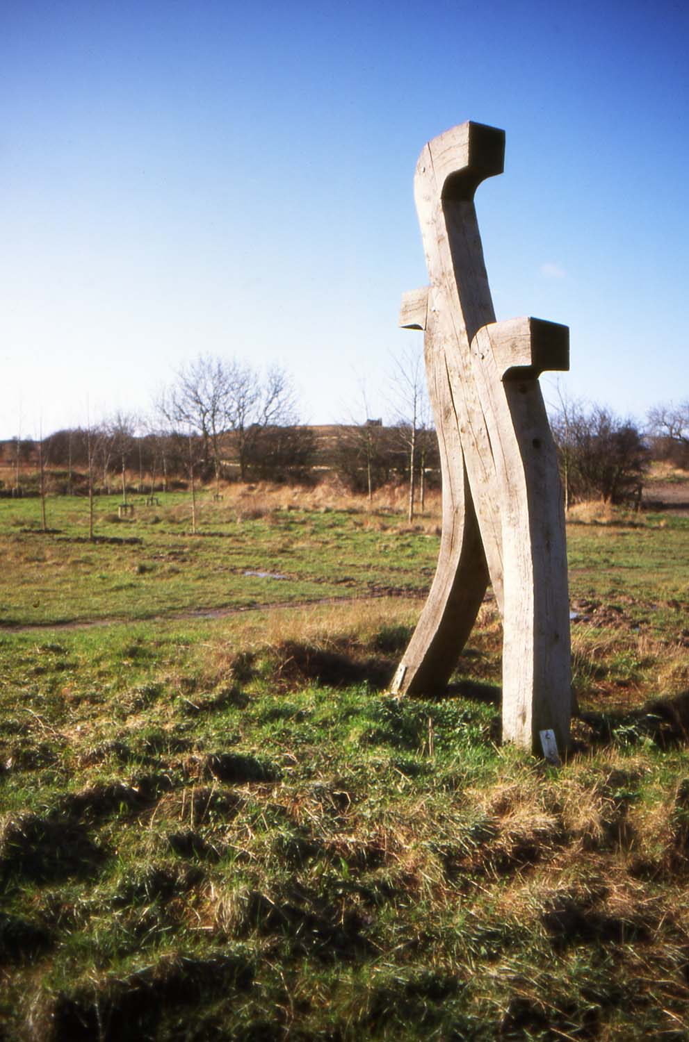 Oak Bird Feeding Station, Summerhill Visitor Centre, View 3