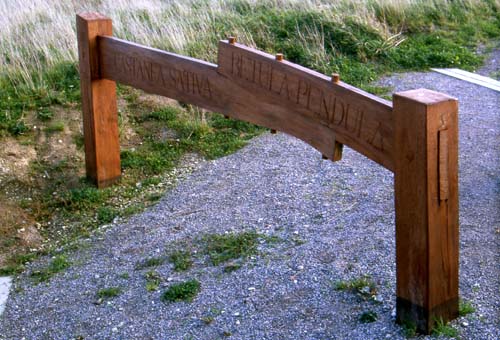 Oak Chicane, Summerhill, View 2