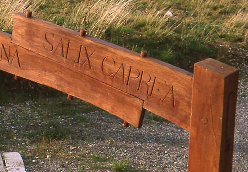 Oak Chicane, Summerhill, View 1